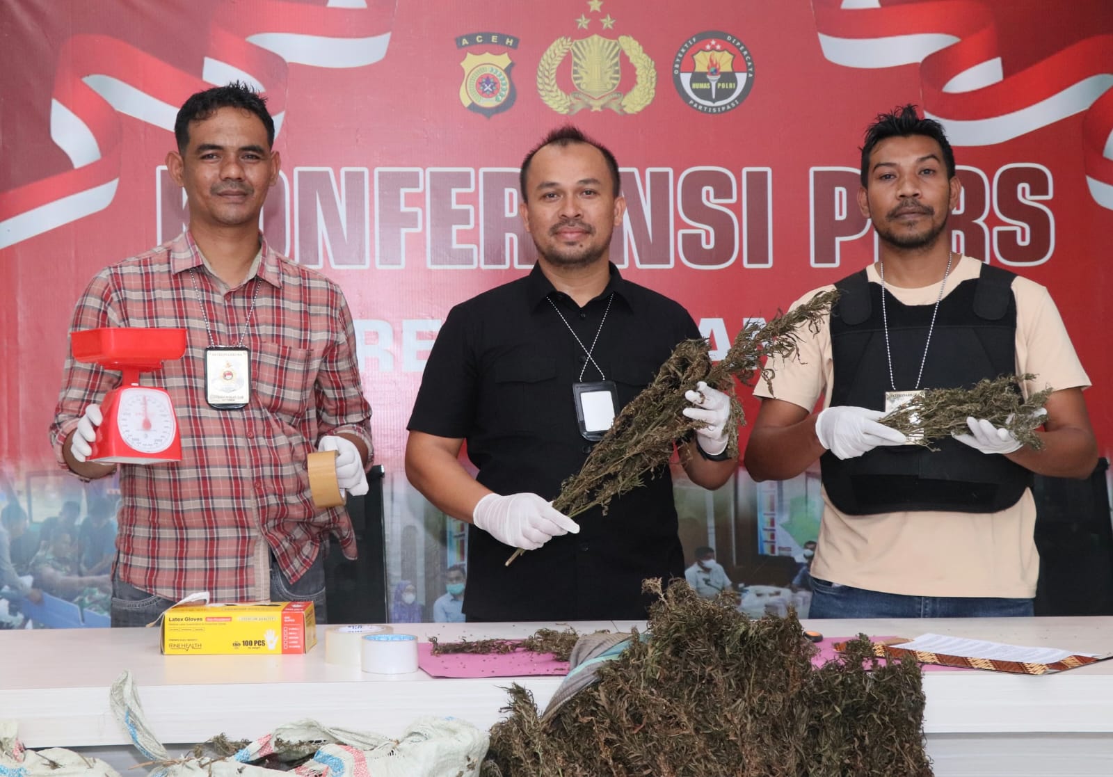 Polres Nagan Raya Musnahkan 4 Hektare Lahan Ganja Baru Panen