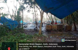 Eksplorasi Minyak Mentah Desa Alur Canang Terus Berlanjut Aparat Penegak Hukum Tak Berdaya