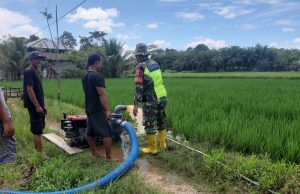 Babinsa Paya Bedi Dampingi Poktan Melalui Program Pompanisasi