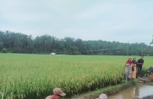 Polsek Rantau Bersama Warga Bantu Proses Evakuasi Penemuan Mayat