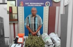 Polres Bireuen Tangkap Pelaku Pengedar Narkotika, 3000 Gram Ganja Kering Disita