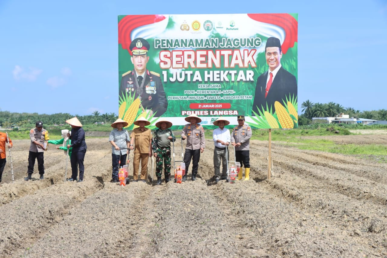 Sekda Kota Langsa Hadiri Penanaman Jagung Serentak di Desa Meurandeh