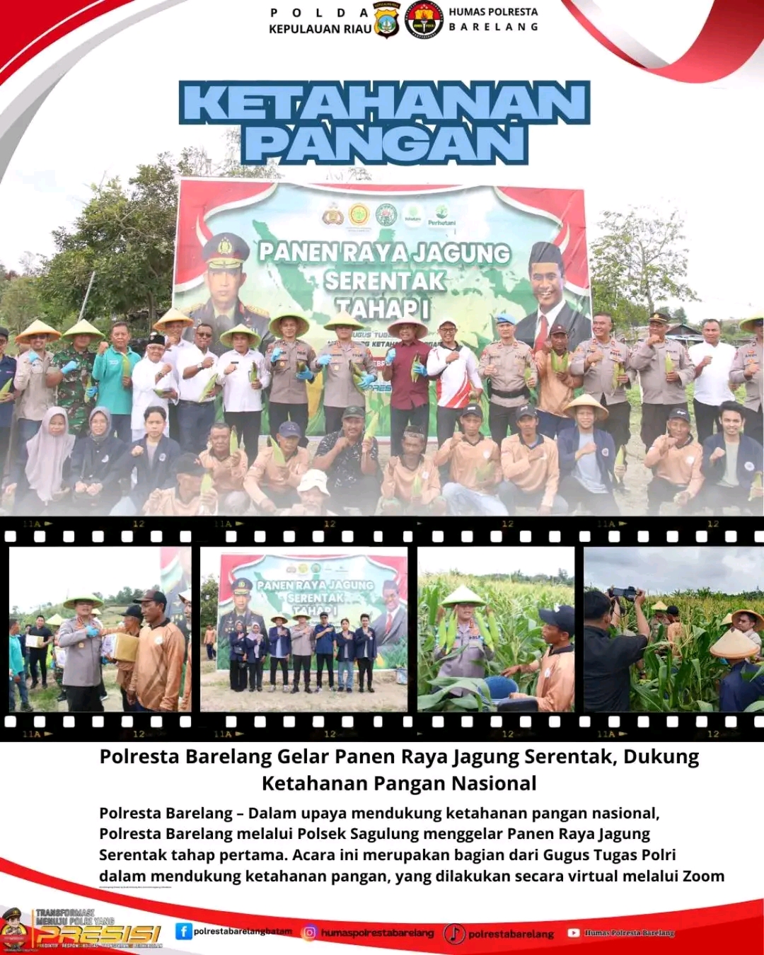 Polresta Barelang Gelar Panen Raya Serentak Dukung Ketahanan Pangan Nasional