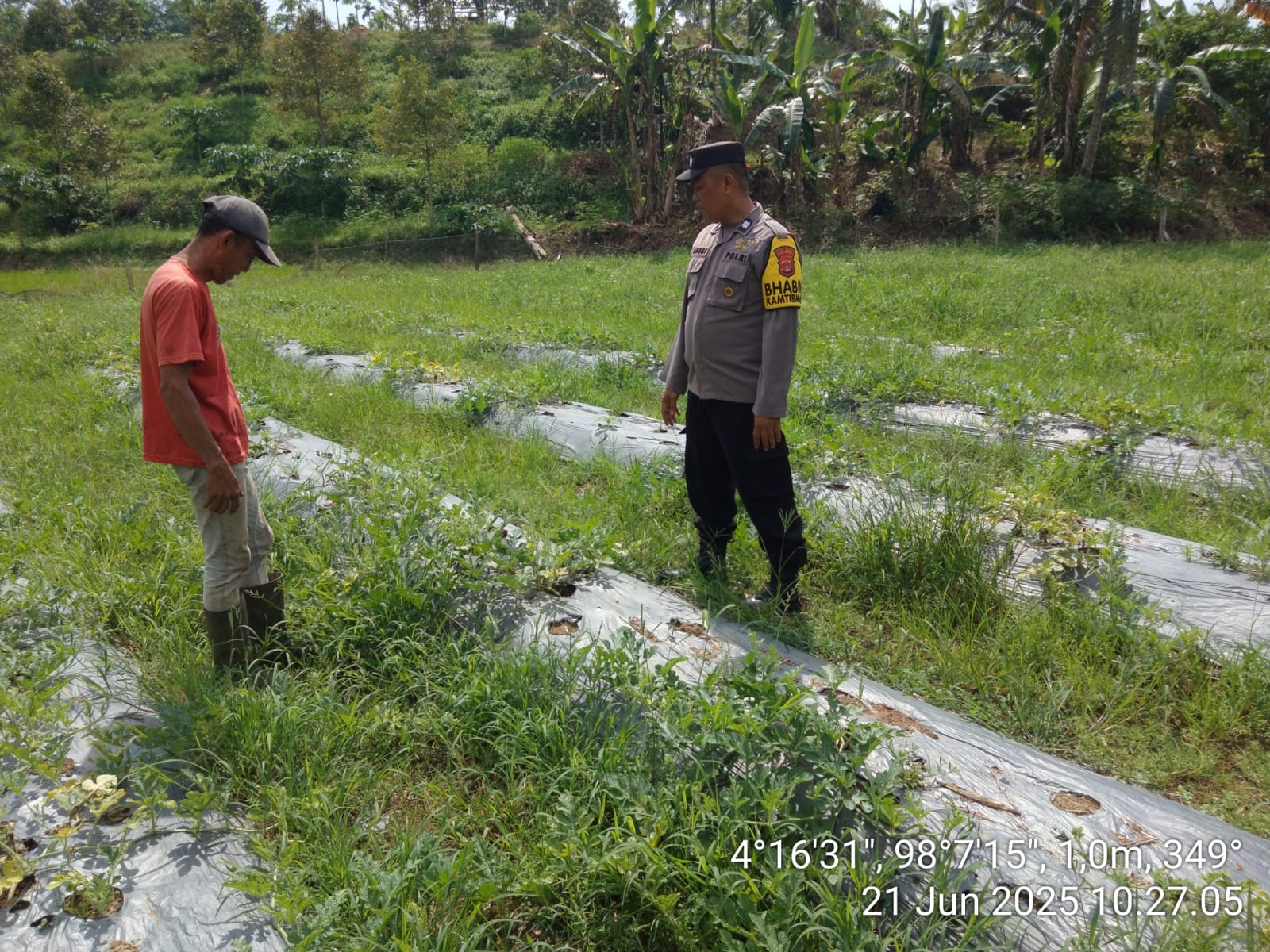 IMG-20250621-WA0003