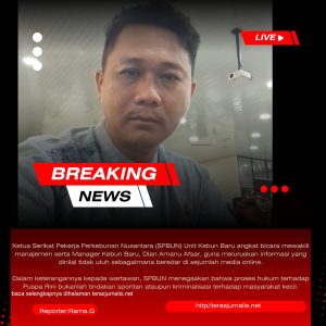 SPBUN Kebun Baru Bantah Pemberitaan Penahanan Ibu Pengambil Brondolan Sawit, Sebut Sudah Tiga Kali Diproses Hukum