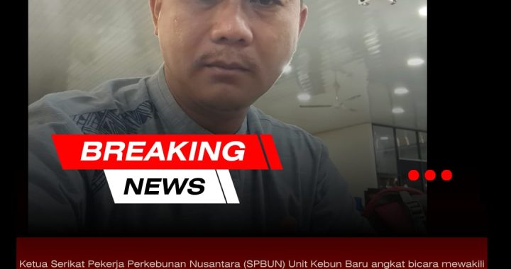 SPBUN Kebun Baru Bantah Pemberitaan Penahanan Ibu Pengambil Brondolan Sawit, Sebut Sudah Tiga Kali Diproses Hukum