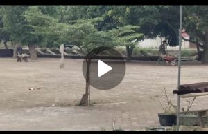 Proyek Revitalisasi SD Negeri Marlempang Diduga Tabrak Aturan K3, Kepala Sekolah Memilih Bungkam!