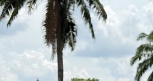 Bukti CCTV, Visum Lengkap, dan Saksi Nyata Diabaikan; Dua Pelaku Wanita yang Diduga Ikut Mengeroyok Justru Masih Melenggang Bebas.