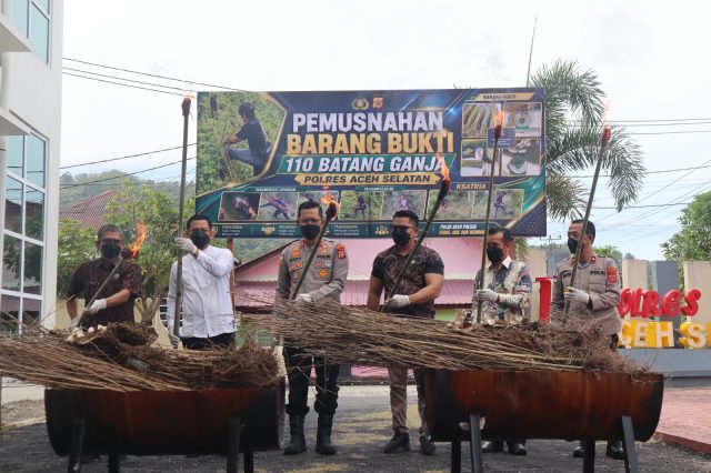 Musnahkan Barang Bukti Ganja, Kapolres Aceh Selatan Tegaskan Komitmen Berantas Narkotika